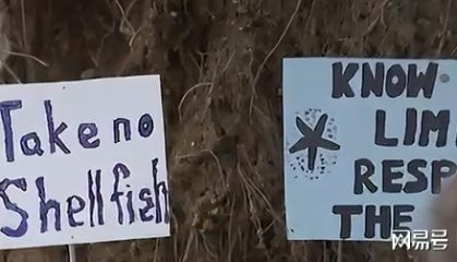 开云官网-大规模抗议爆发, 针对华人! 本地人在海边用中文横幅抵制!